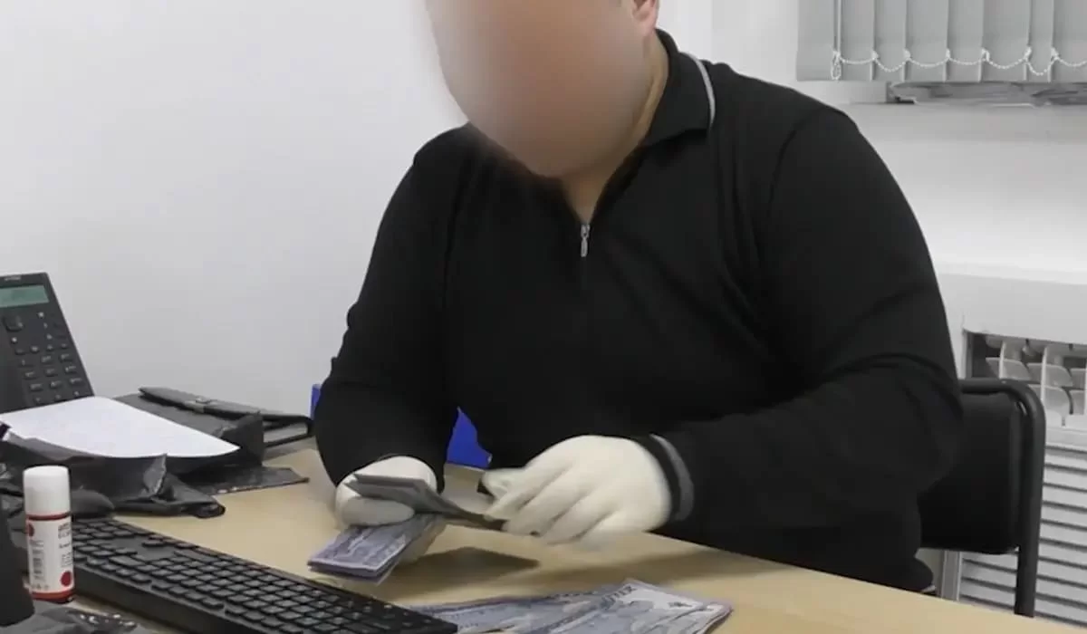 Видеодан скрин