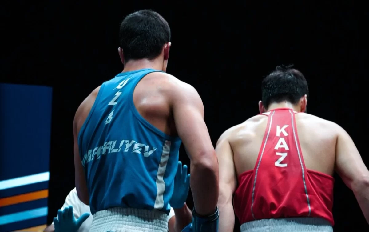 «Бокс — кедей елдердің спорты ма?» Қазақ жазушысының пікірі желіде қызу талқыланды