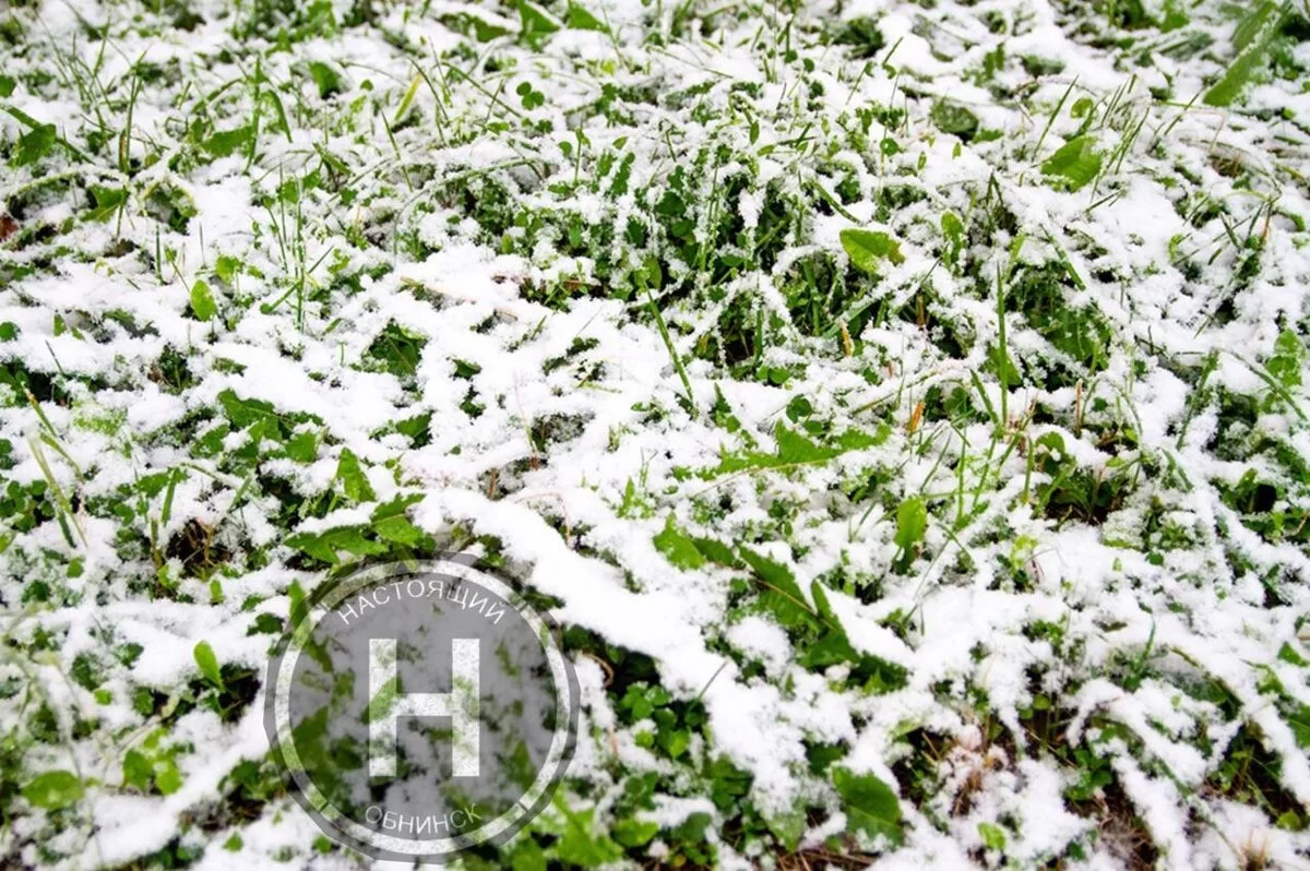 "Қар жауады": 30 қыркүйекте еліміздің басым бөлігінде ескерту жарияланды