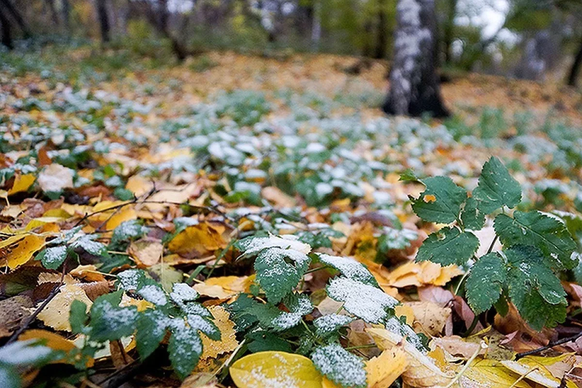 "Үсік жүріп, жаңбыр жауады": Қазақстанның бірқатар өңірінде күн райы бұзылады