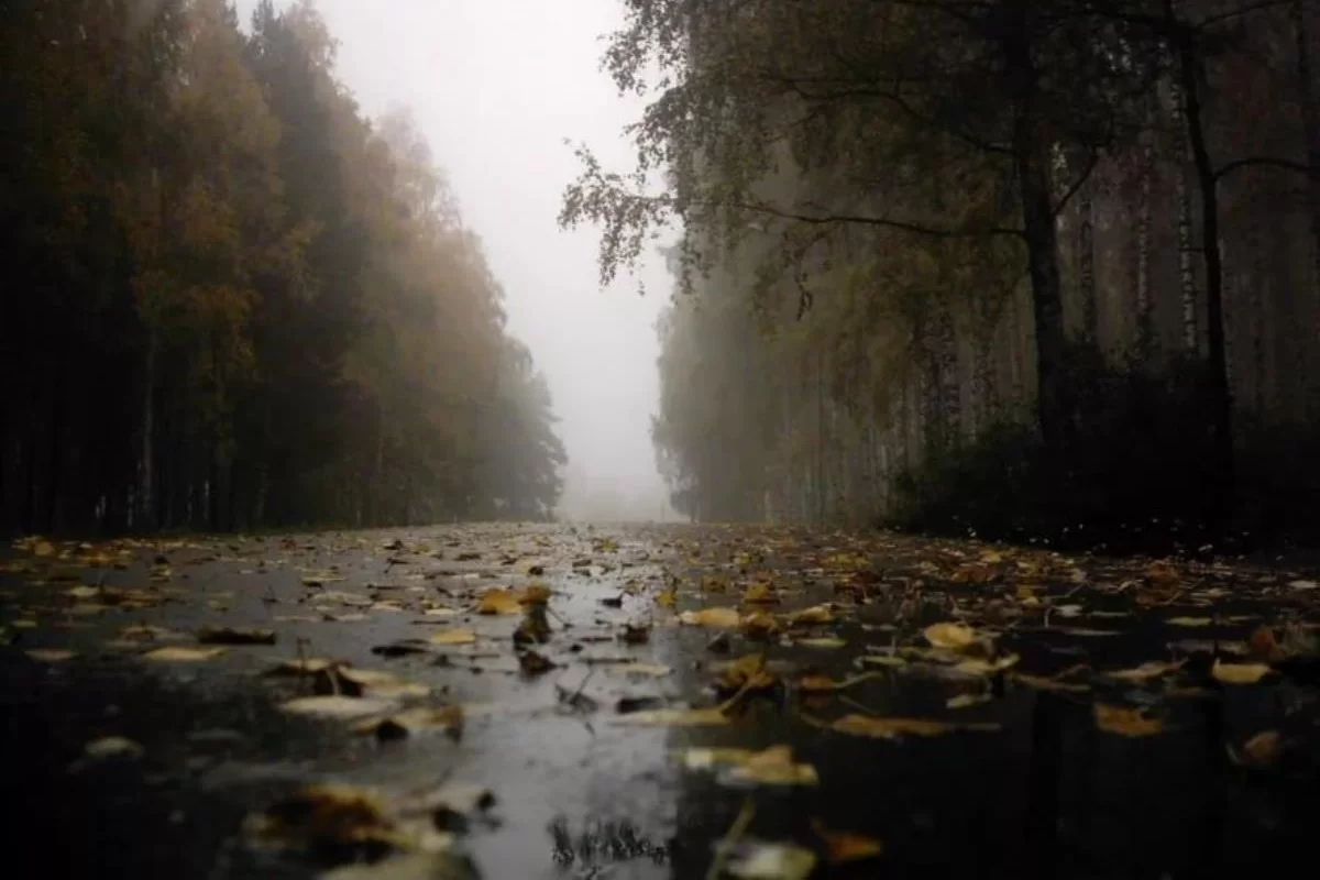 Тұман және жаңбыр: Қазақстанның 14 өңірінде ауа райы бұзылады
