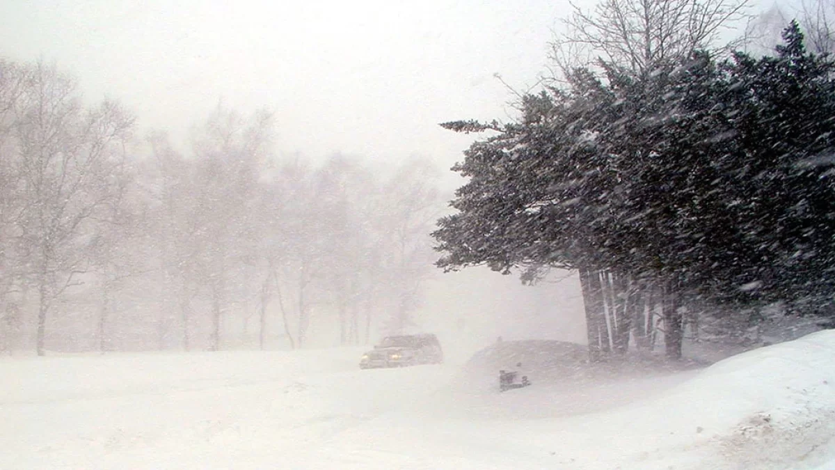 Қар жауып, боран соғады: Қазақстанның бірқатар өңірінде ескерту жарияланды