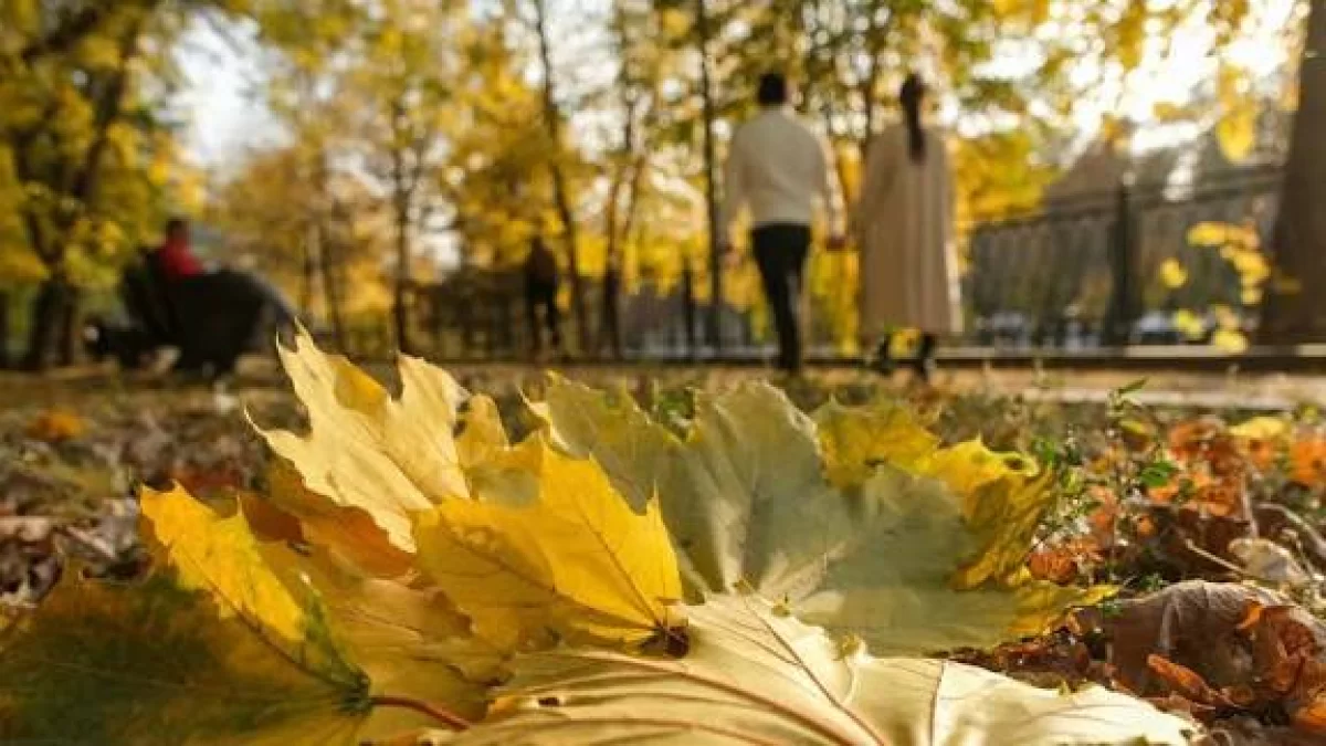 Күн жылынады: 16 қарашаға арналған ауа райы болжамы