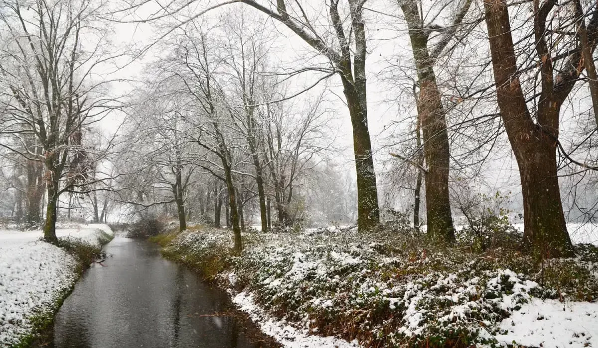 Қар, боран: 12 қаңтарға арналған ауа райы болжамы