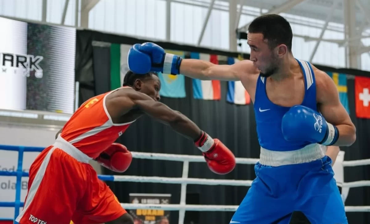 Махмұд Сабырхан Boxam Elite-2026 турнирінің алтыны үшін айқасады