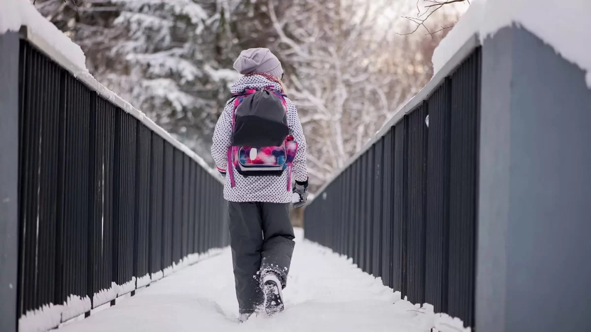 Оқушылар қашықтан оқуға жіберілді