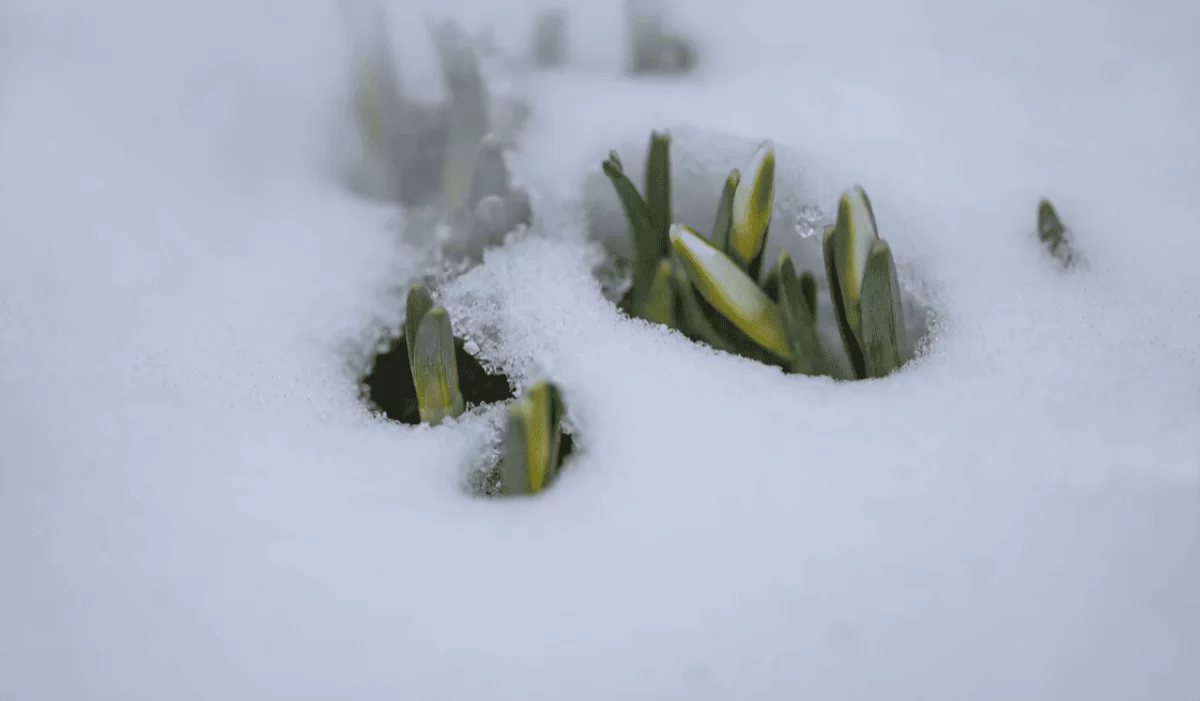 Күн күрт суытады: 24 ақпанға ауа райы болжамы