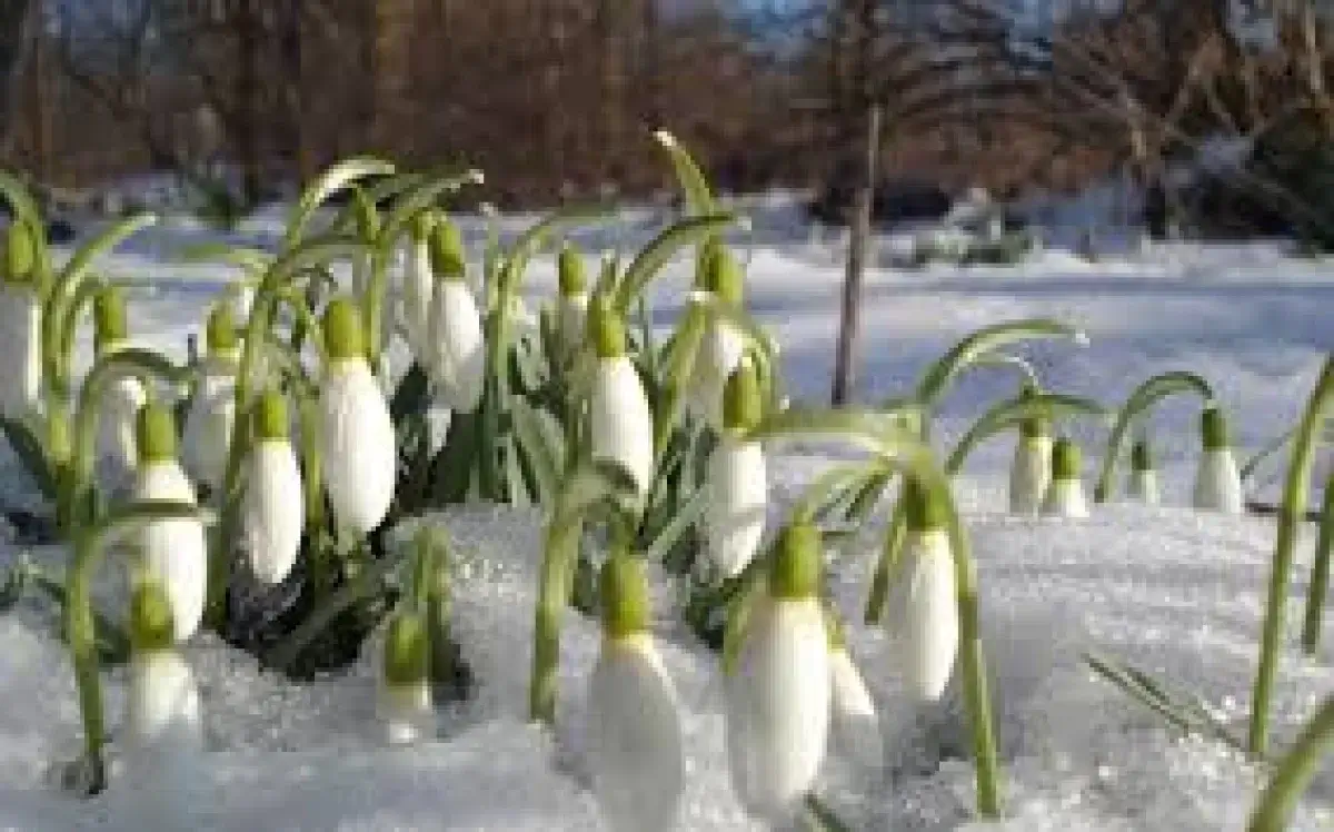 2 наурызға арналған ауа райы болжамы