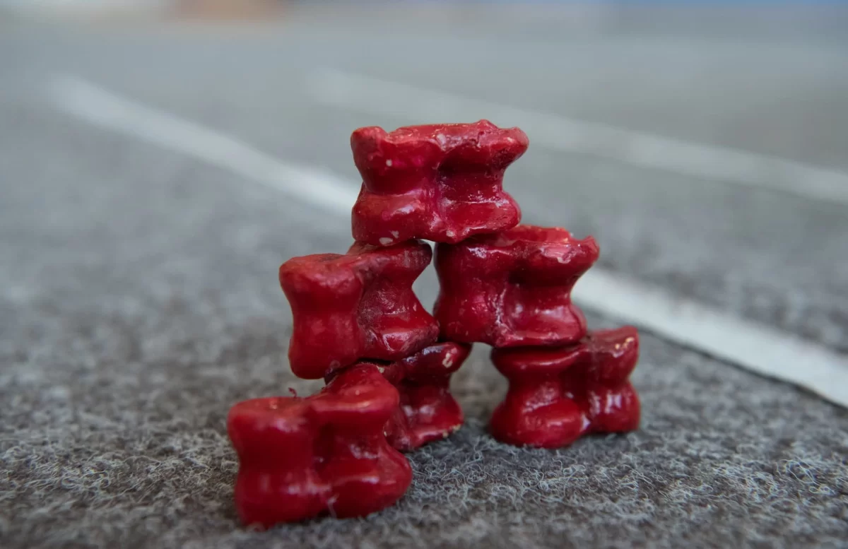 Ерекше рекорд: 18 мыңнан астам бала бір уақытта асық ойнады (ВИДЕО)