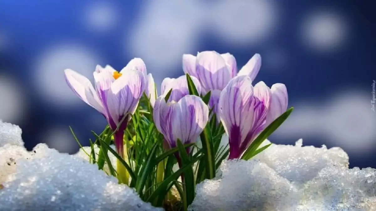 19 наурызға ауа райы болжамы