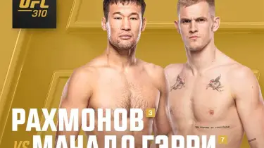 Шавкат - Иэн жекпе-жегі: UFC файтері кімнің қалай жеңетінін айтты