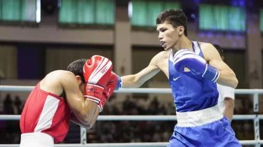 Санжар Тәшкенбайдың сенсациялық жеңілісі: Мәселе қолғапта ма?