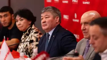"Күресте демеуші көп емес": Дәулет Тұрлыханов неліктен букмекерлер көмегіне жүгінетінін айтты