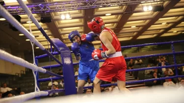 Бір күнде 6 нокаут. Қазақстандық боксшылар қарсыластарын аямады