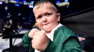 Хасбик UFC файтерлеріне төбелес ашты