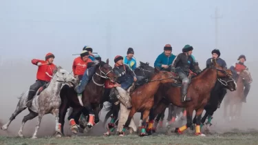 Жамбыл облысында көкпар жанжалмен аяқталып, төртеуі сот алдында жауап берді (ВИДЕО)