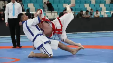 Қазақ күресінен ел чемпионаты: 500-ге жуық балуан өзара мықтыны анықтайды