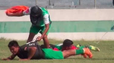 Аралар алаңды басып алды! Үндістандағы матч шұғыл тоқтатылды (ВИДЕО)