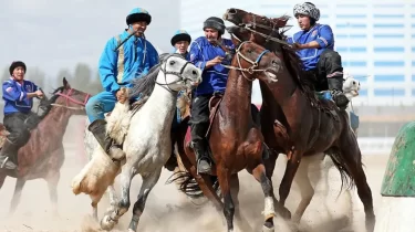 Көкпардан үздік өңір анықталды