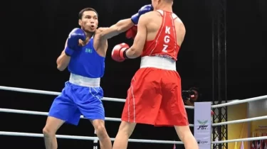 Таиландтағы турнирде қазақ боксшылары 12 медаль жеңіп алды