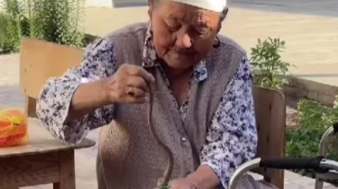 85 жастағы әже жыланды жалаң қолмен ұстап, елді тәнті етті (ВИДЕО)