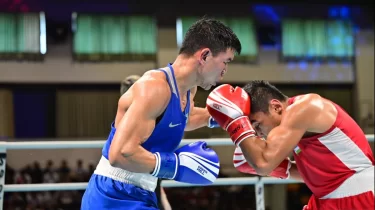 Қазақстан ба, Өзбекстан ба? Eindhoven Box Cup турнирінде кім озды? (ВИДЕО)