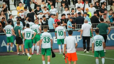 "Түкіргенім бар". Футболшылар мас күйде жанкүйерлердің ашуына тиді