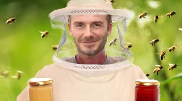 Дэвид Бекхэм бал өндіріп, жаңа энергетикалық өнім шығара бастады