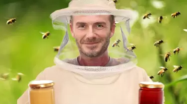 Дэвид Бекхэм бал өндіріп, жаңа энергетикалық өнім шығара бастады