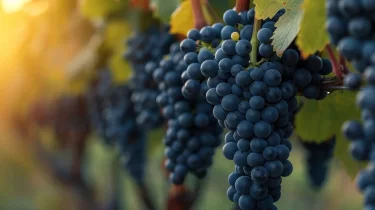 Бұлшықет күшін сақтаудың дәмді жолы