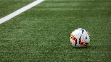 Жасанды газон обыр ауруына әкеле ме? Ғалымдар мәлімдеме жасады