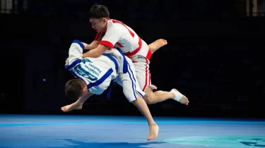 Елде спортшылардың еңбекақысын төлеудің жаңа тәртібі бекітілді