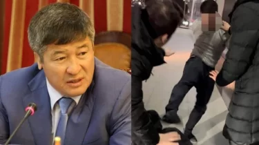 Сот Дәулет Тұрлыхановтың баласына қатысты шешім шығарды