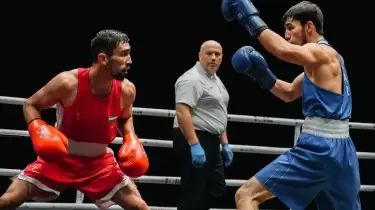 Бибарыс Жексен Олимпиада чемпионымен айқасты