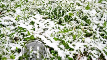 "Қар жауады": 30 қыркүйекте еліміздің басым бөлігінде ескерту жарияланды