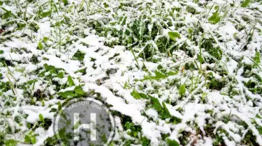 "Қар жауады": 30 қыркүйекте еліміздің басым бөлігінде ескерту жарияланды