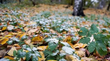 "Үсік жүріп, жаңбыр жауады": Қазақстанның бірқатар өңірінде күн райы бұзылады