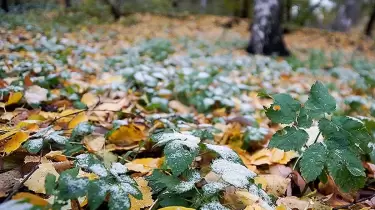 "Үсік жүріп, жаңбыр жауады": Қазақстанның бірқатар өңірінде күн райы бұзылады