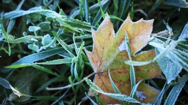 Үсік жүріп, тұман түседі: Қазақстанның 11 өңірінде ауа райы өзгереді