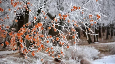 Қазақстанның 13 өңірінде қолайсыз ауа райына байланысты ескерту жасалды