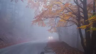 Қазақстанның 13 өңірінде тұман түсіп, үсік жүреді деп күтілуде