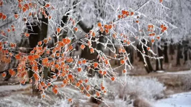 Үсік пен шаңды дауыл: еліміздің бірнеше өңірінде ауа райы нашарлайды