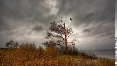 Қатты жел мен үсік: Қазақстанның бірқатар өңірінде ауа райы бұзылады