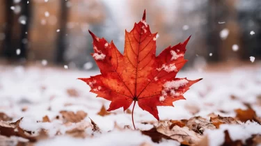 Қар жауады: Қазақстанның басым бөлігінде ескерту жарияланды