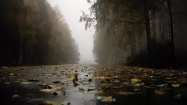 Тұман және жаңбыр: Қазақстанның 14 өңірінде ауа райы бұзылады