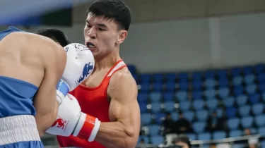 Олимпиадада жолы болмаған Абылайхан Жүсіпов "алтын" еншіледі