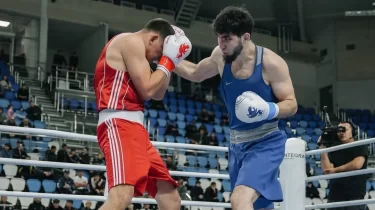 Бокстан Қазақстан чемпионатының барлық чемпионы анықталды