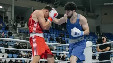 Бокстан Қазақстан чемпионатының барлық чемпионы анықталды