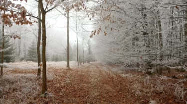 Қазақстанның басым бөлігінде ауа райы бұзылады