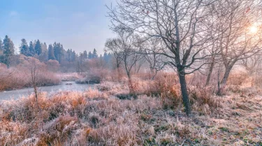 Үсік пен жел: Қазақстанның бірқатар өңірінде ауа райы бұзылады